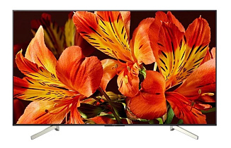 Телевизор Sony KD49XF8596BR2