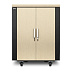 Телекоммуникационный шкаф APC NetShelter CX 18U AR4018IA