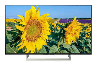 Телевизор Sony KD49XF8096BR2