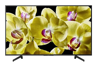Телевизор Sony KD49XG8096BR