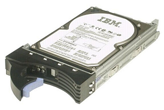 Жесткий диск IBM 81Y9848