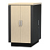 Телекоммуникационный шкаф APC NetShelter CX 24U AR4024IA Телекоммуникационный шкаф APC NetShelter CX 24U AR4024IA