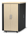 Телекоммуникационный шкаф APC NetShelter CX 24U AR4024IA Телекоммуникационный шкаф APC NetShelter CX 24U AR4024IA